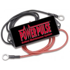 Pulsetech Powerpulse 12Volt With Lug